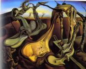 萨尔瓦多 达利 : 晚上的蜘蛛-希望